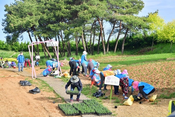 ‘제2회 동화나라 버베나 축제’ 준비 착착