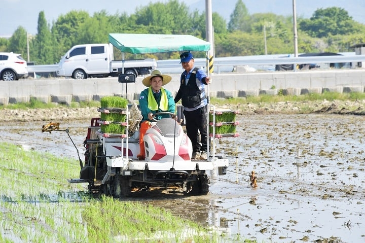 ⓒ담양군